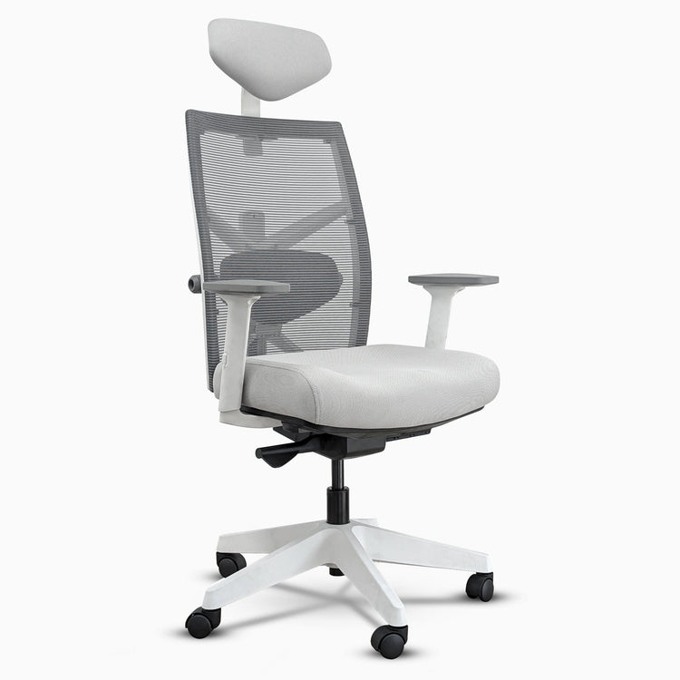 Desky Elite Ergonomic Chair-DeskyÌâå¨ Australia