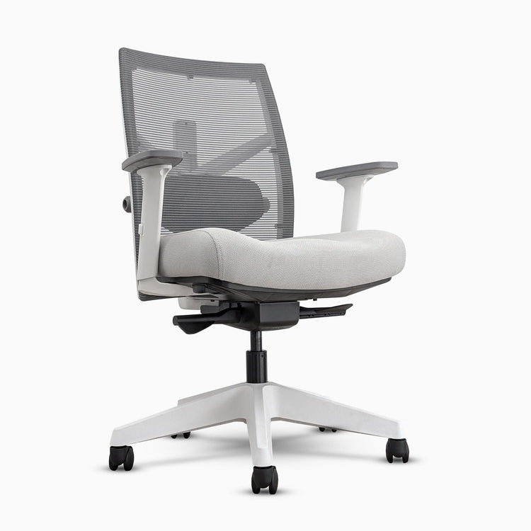 Desky Elite Ergonomic Chair-DeskyÌâå¨ Australia