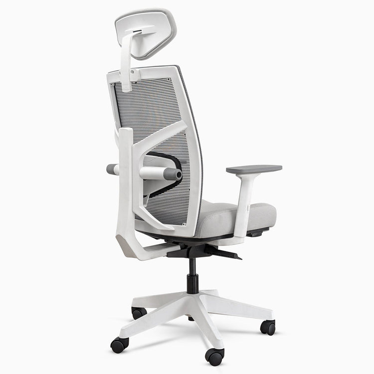 Desky Elite Ergonomic Chair-DeskyÌâå¨ Australia