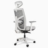 Desky Elite Ergonomic Chair-DeskyÌâå¨ Australia