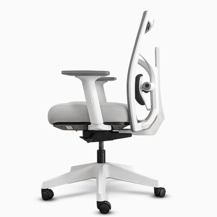 Desky Elite Ergonomic Chair-DeskyÌâå¨ Australia