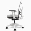 Desky Elite Ergonomic Chair-DeskyÌâå¨ Australia