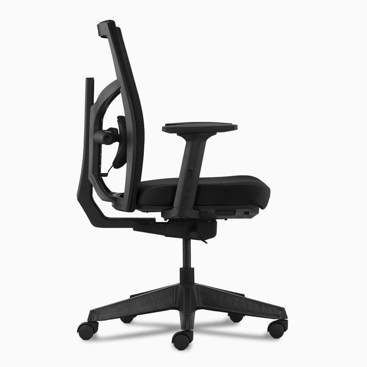 Desky elite ergonomic chair  armrests
