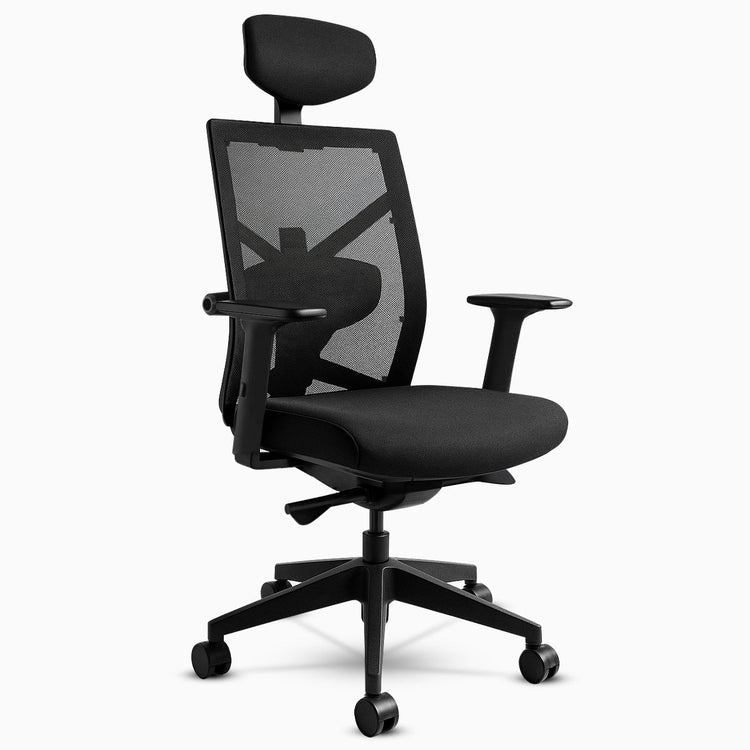 Desky Elite Ergonomic Chair-DeskyÌâå¨ Australia