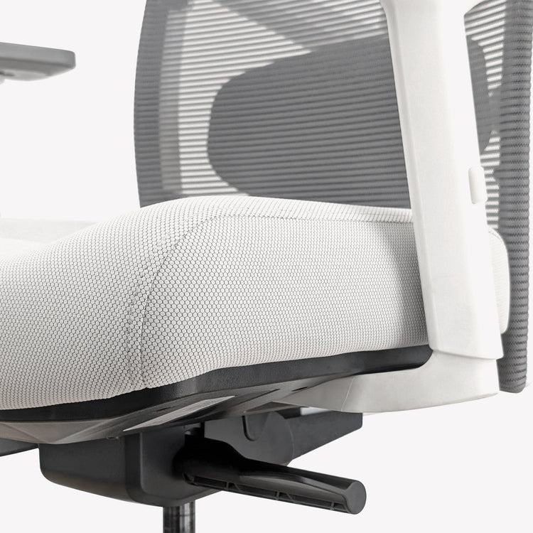 Desky Elite Ergonomic Chair-DeskyÌâå¨ Australia
