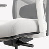 Desky Elite Ergonomic Chair-DeskyÌâå¨ Australia