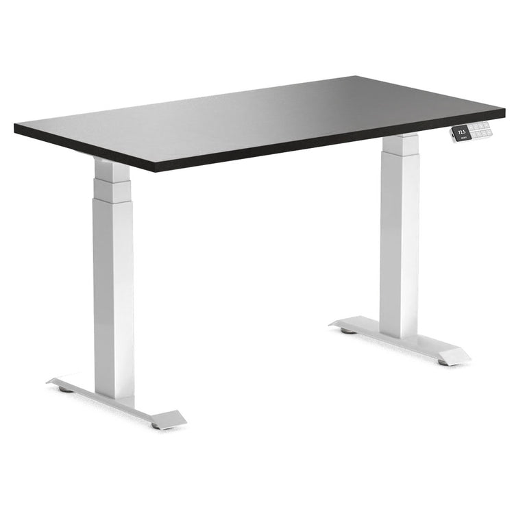 Dual Mini Sit Stand Desk