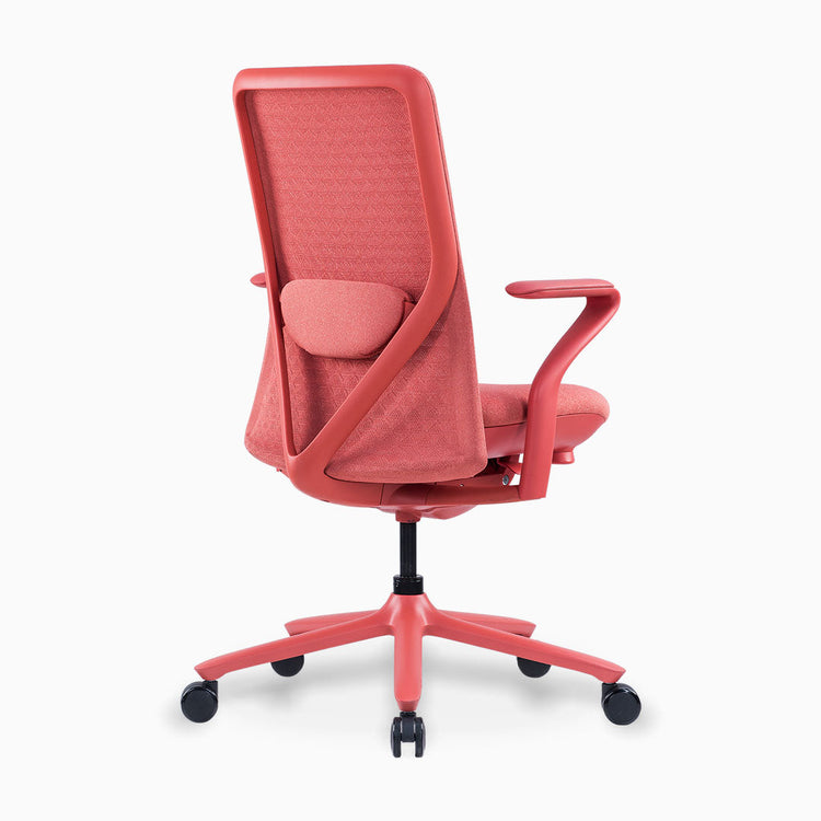 Desly pro mesh chair lumbar support