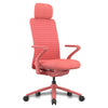 Desky Pro Ergonomic Mesh Chair-DeskyÌâå¨ Australia