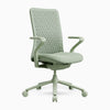 Desky Pro Ergonomic Mesh Chair-DeskyÌâå¨ Australia