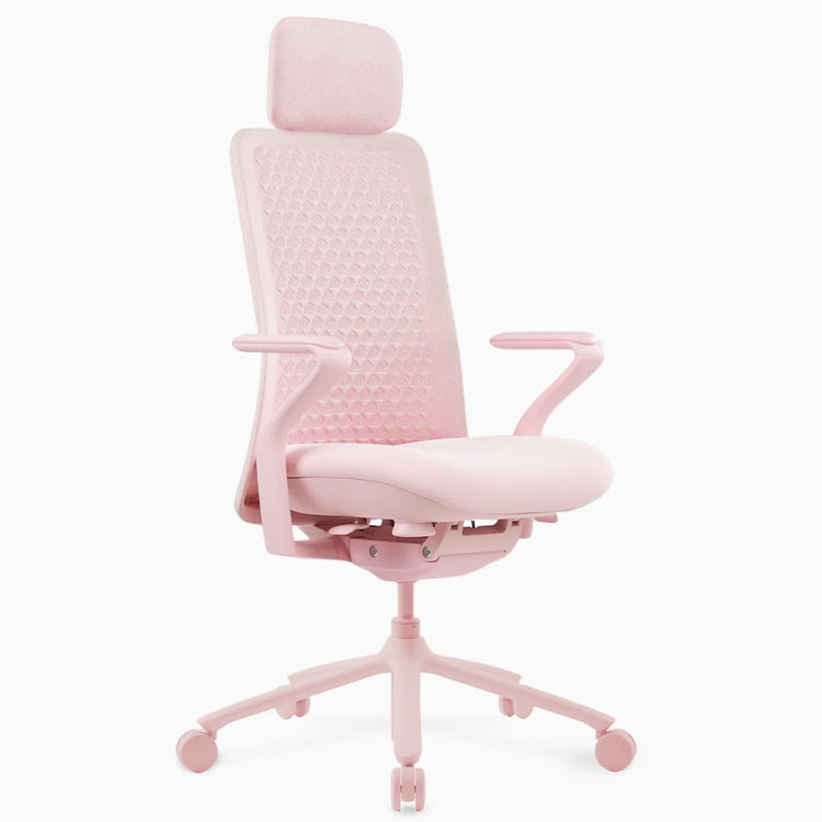 Desky Freya Ergonomic Mesh Chair