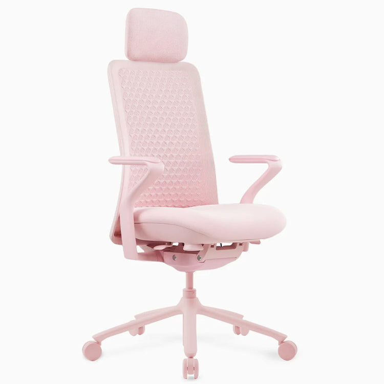 Desky Freya Ergonomic Mesh Chair