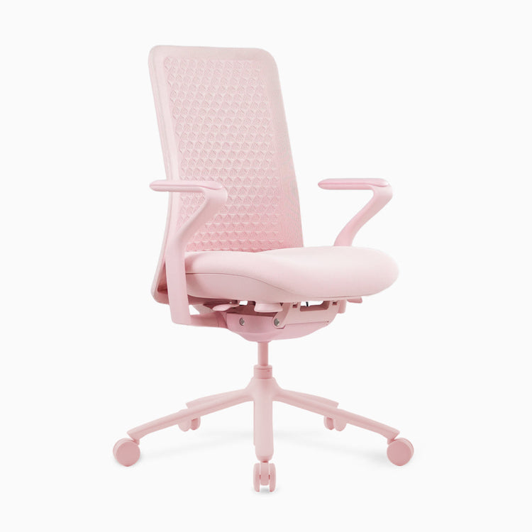 Desky Freya Ergonomic Mesh Chair