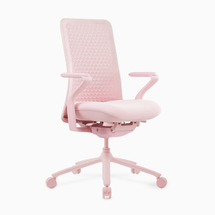 Desky Freya Ergonomic Mesh Chair
