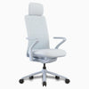 Pro ergonomic mesh chair with head rest white