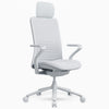 Desky Pro Ergonomic Mesh Chair-DeskyÌâå¨ Australia