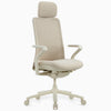 Desky Pro Ergonomic Mesh Chair-DeskyÌâå¨ Australia