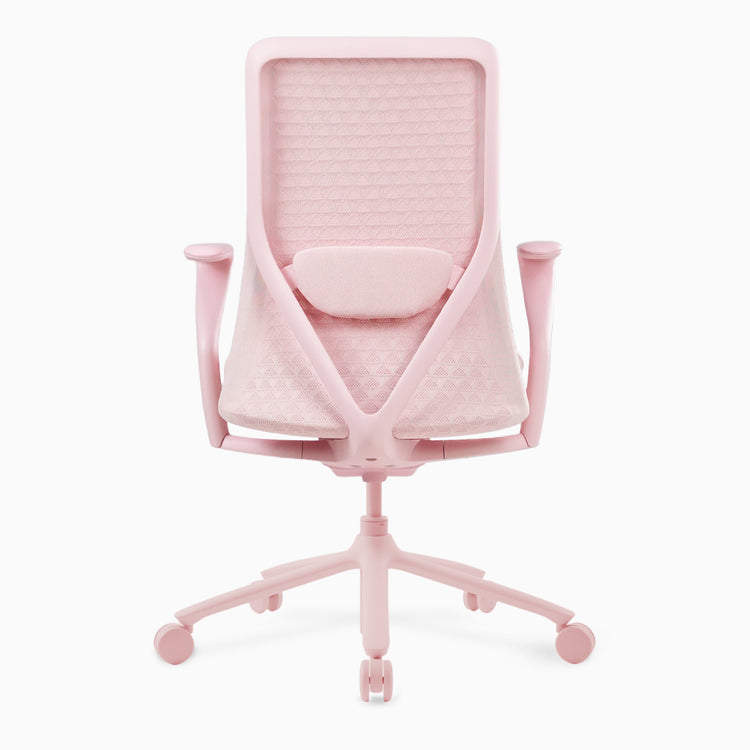 Desky Freya Ergonomic Mesh Chair