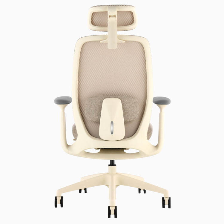 Desky Sereno Ergonomic Office Task Chair