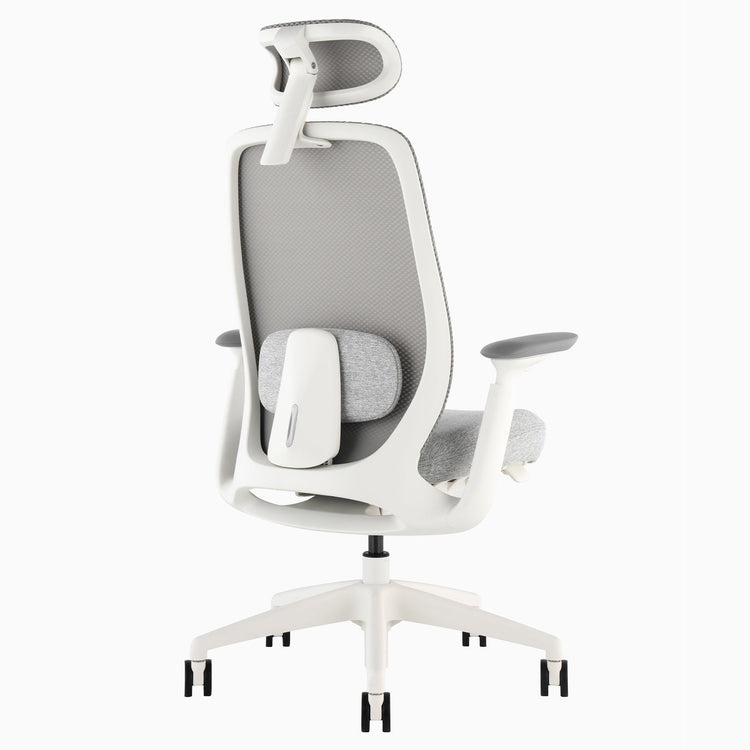 Desky Sereno Ergonomic Office Task Chair