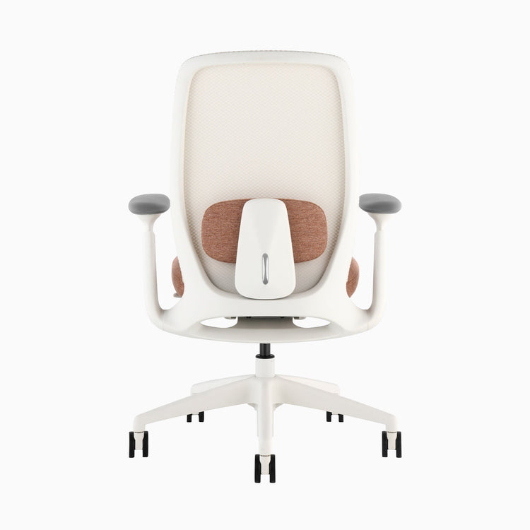 Desky Sereno Ergonomic Office Task Chair