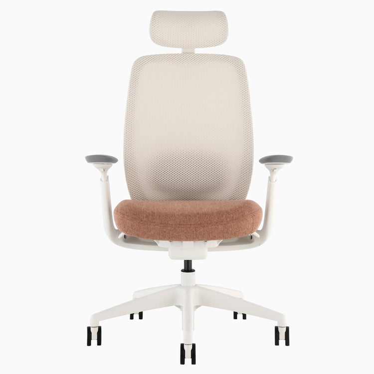 Desky Sereno Ergonomic Office Task Chair
