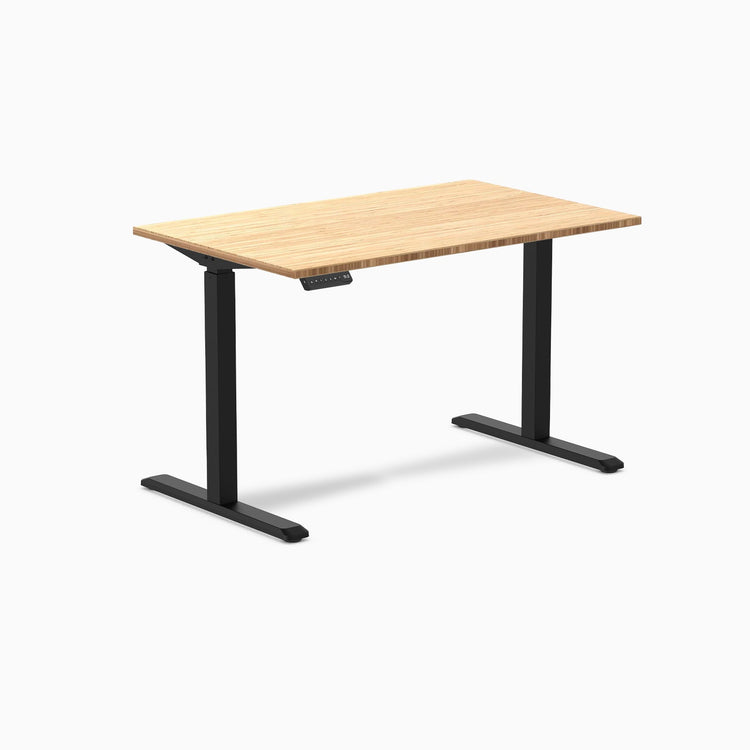 Desky Single Sit Stand Desk