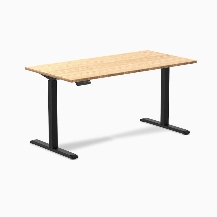 Desky Single Sit Stand Desk