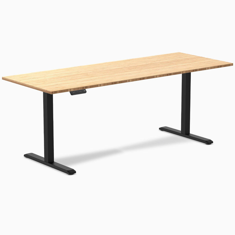 Desky Single Sit Stand Desk