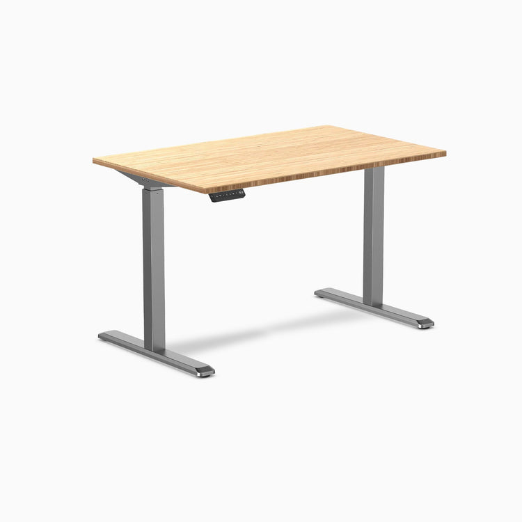 Desky Single Sit Stand Desk