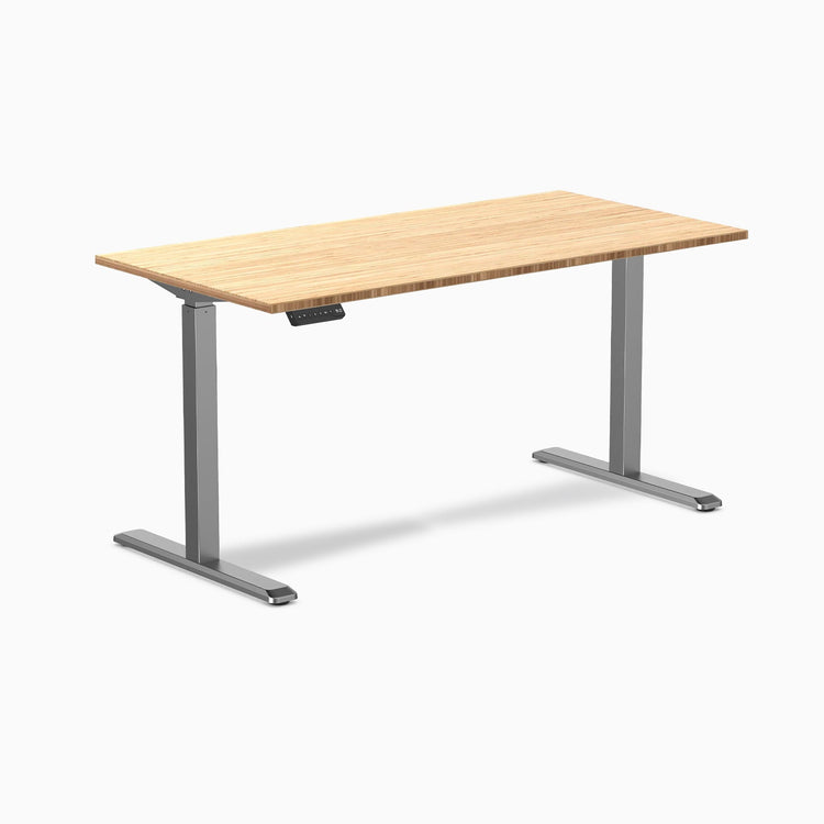 Desky Single Sit Stand Desk