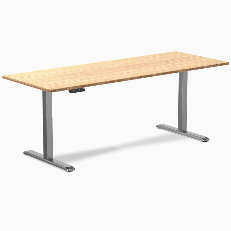 Desky Single Sit Stand Desk