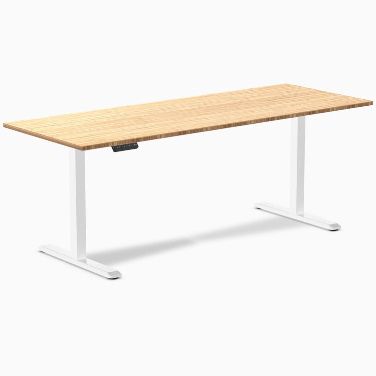 Desky Single Sit Stand Desk