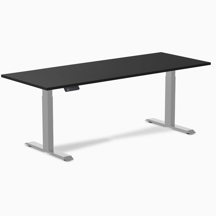 Desky Single Sit Stand Desk