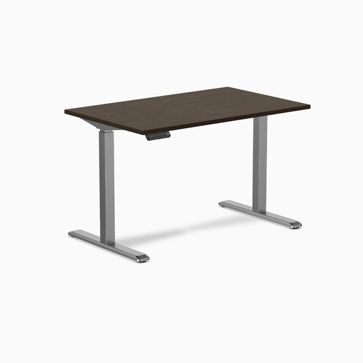 Desky Single Sit Stand Desk