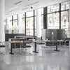 Desky Triple Sit Stand Desk Frame Grey - Desky