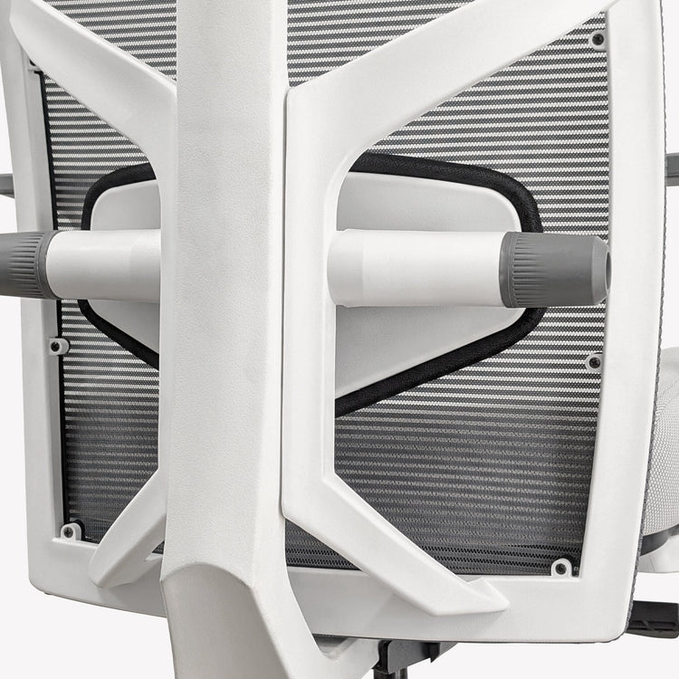 Desky Elite Ergonomic Chair-DeskyÌâå¨ Australia