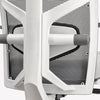 Desky Elite Ergonomic Chair-DeskyÌâå¨ Australia