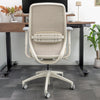 Desky CoilFlex Ergonomic Office Chair-Office Chairs-Desky-Black-No Headrest-DeskyÌâå¨ Australia