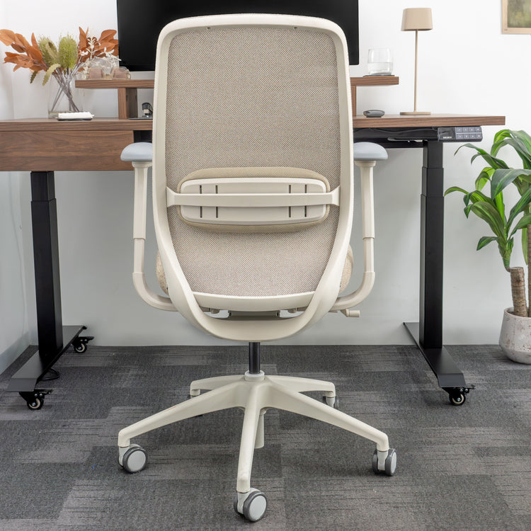 Desky CoilFlex Ergonomic Office Chair
