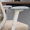 Desky CoilFlex Ergonomic Office Chair-Office Chairs-Desky-Black-No Headrest-DeskyÌâå¨ Australia