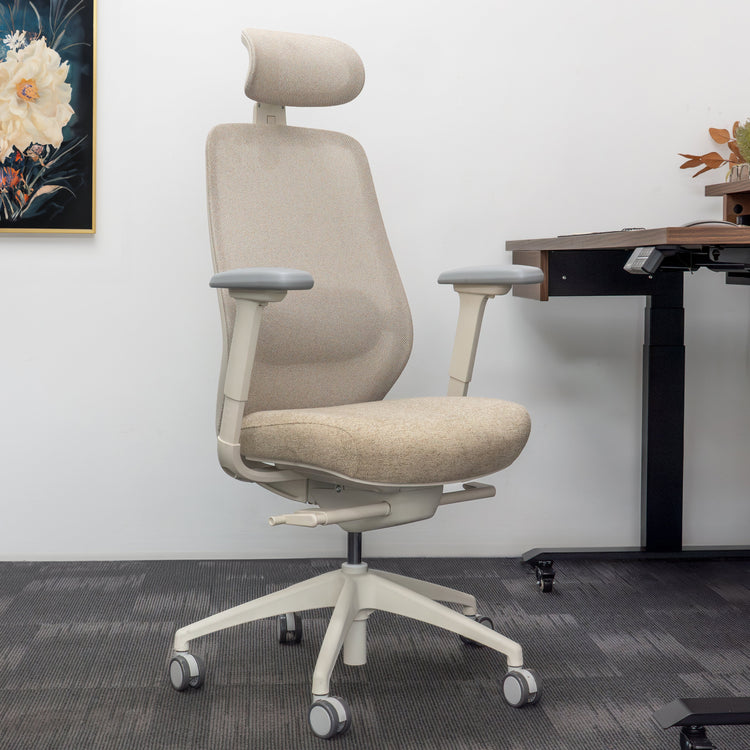 Desky CoilFlex Ergonomic Office Chair-Office Chairs-Desky-Black-No Headrest-DeskyÌâå¨ Australia