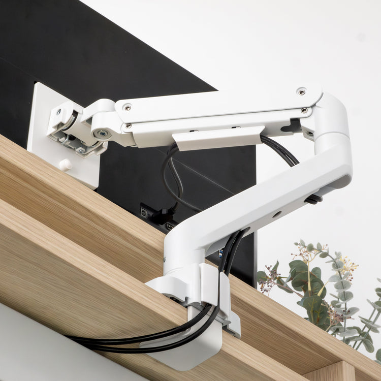 Desky Heavy Duty Ultrawide Monitor Arm-DeskyÌâå¨ Australia