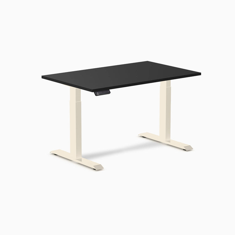 Desky Single Sit Stand Desk