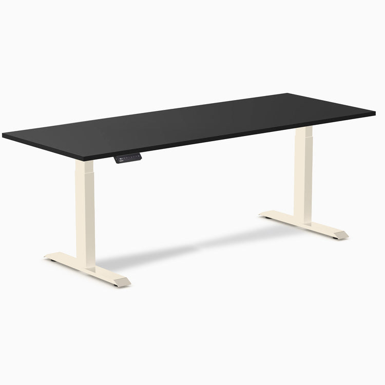 Desky Single Sit Stand Desk