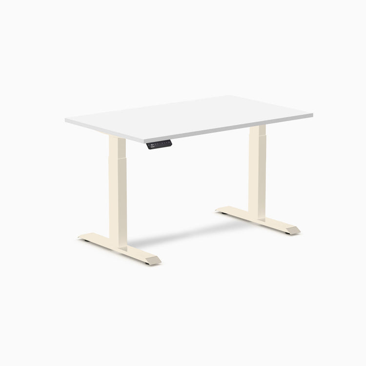 Desky Single Sit Stand Desk