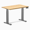 Desky Dual Mini Hardwood Sit Stand Desk-Dual Desks-Desky-White Oak-1000x600mm-Space Grey-DeskyÌâå¨ Australia