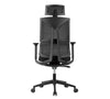 Desky Pro Adjustable High Back Mesh Chair -Desky®